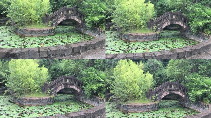 中国古典园林小桥石桥荷塘中式