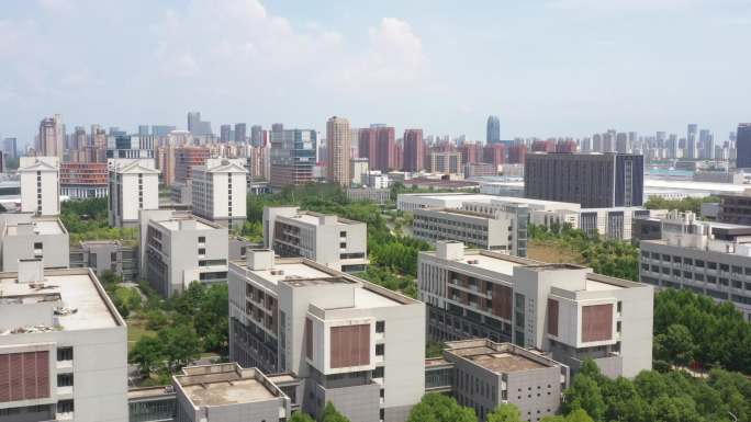 合肥学院 合肥大学 合肥学校