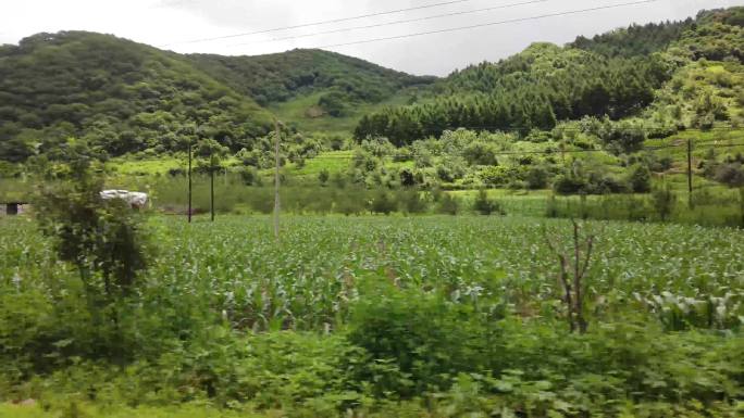 山区行进 路边风景 东北山区