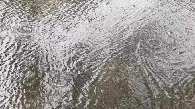 下雨 马路 流水