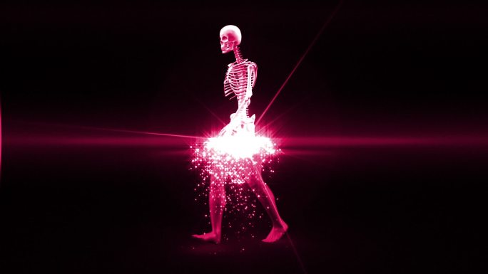 旋转的粉红色行走骨骼出现，在黑色背景下变成完全成形的人类