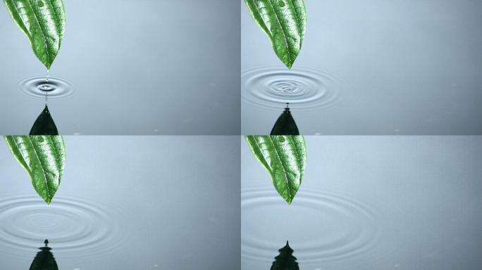 水珠从叶子上滑落掉进水里特写