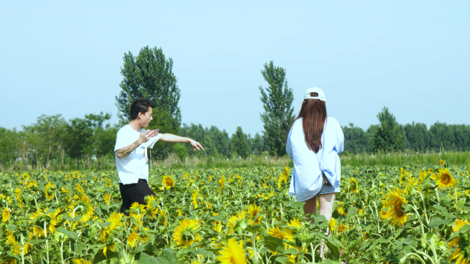 向日葵花海，旅游观光