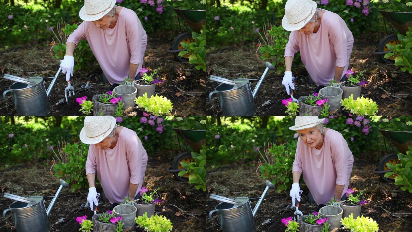 在花园里种花的退休妇女