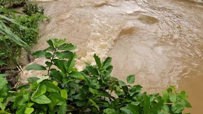 风雨大水洪水发河涝小河涨满台风雨河水流走