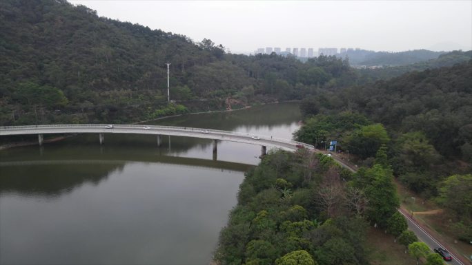 东莞东城同沙水库跨河桥