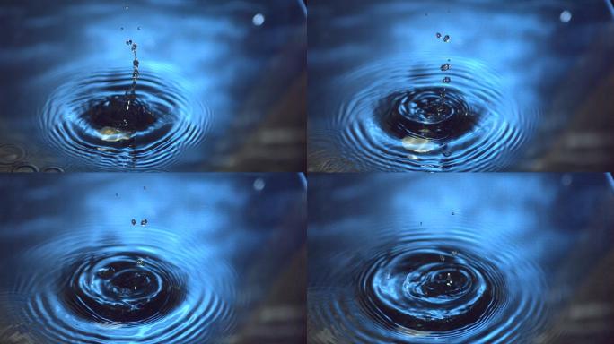 海贝壳在慢镜头中落入蓝色的水中