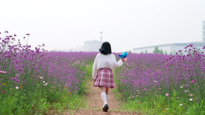 JK少女在马鞭草花海中奔跑