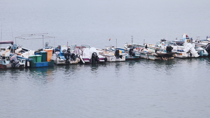 4k 内湾停泊的渔船 木船快艇 钓鱼艇