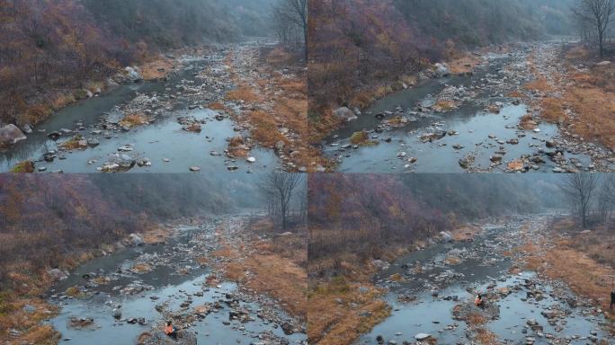 金秋山中小溪河流视频