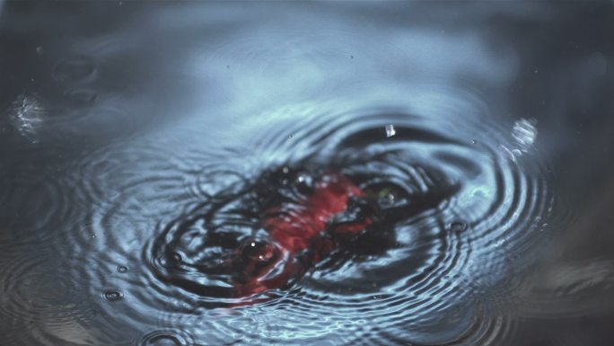水中的红辣椒特写落水溅起水花水纹