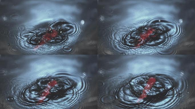 水中的红辣椒特写落水溅起水花水纹
