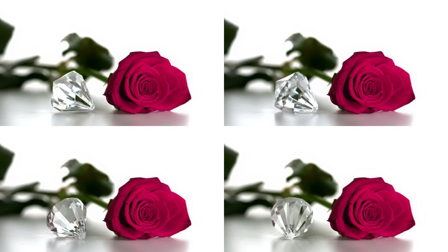 粉色玫瑰特写玫瑰花爱情钻石