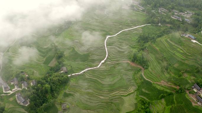 4k梯田多景别