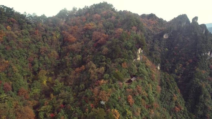 四川南江光雾山米仓山彩林航拍