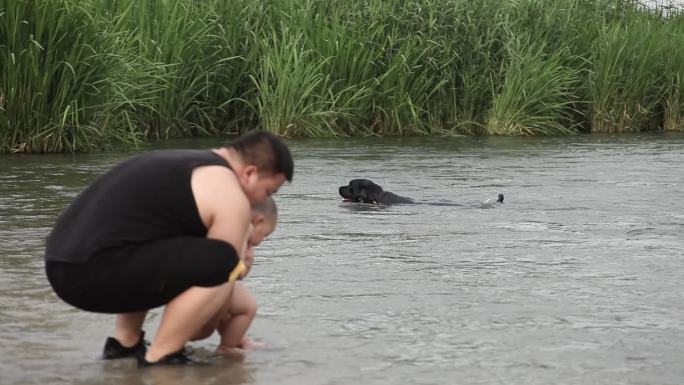 河里一只狗狗顺流而下去捡东西河边一对父子