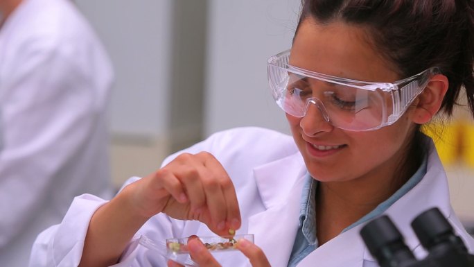 一名女子在大学实验室吃培养皿里的种子