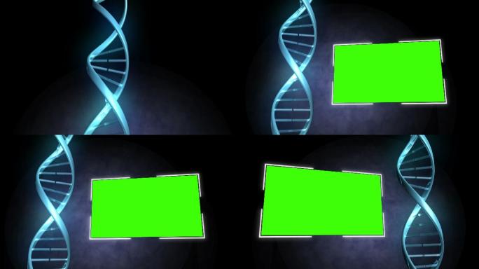 DNA图像旁边的绿色屏幕动画特效