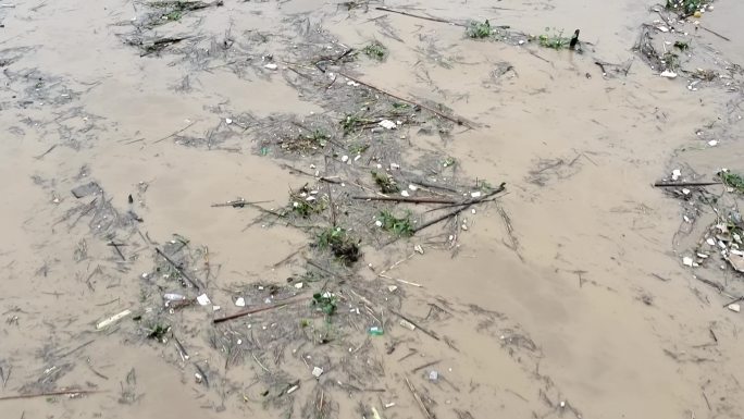 大河洪水实拍河水灾害汛期特大暴雨河水猛涨