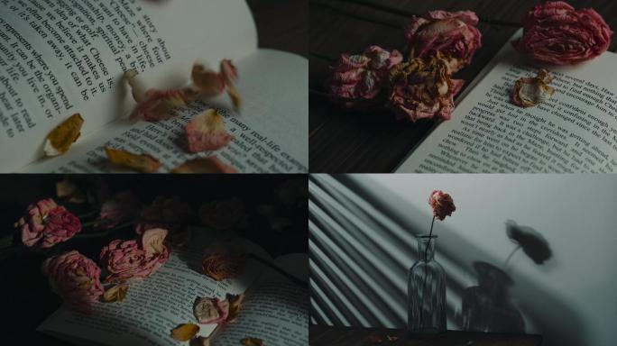 玫瑰与书的光影 伤感空镜头 唯美空镜