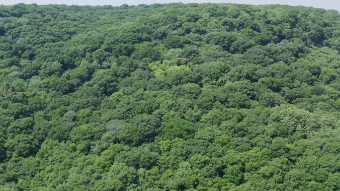 江苏盱眙铁山寺森林公园航拍4K视频