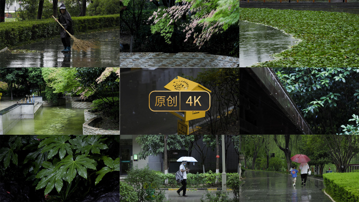 4K雨天公园