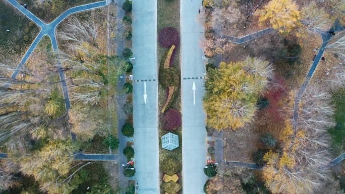 宁夏银川北方民族大学秋景 学生打篮球