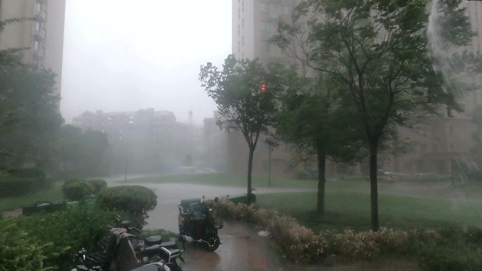 暴雨 大暴雨 狂风暴雨