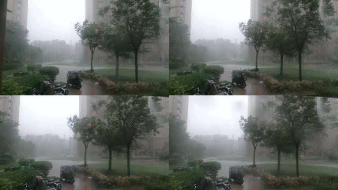 暴雨 大暴雨 狂风暴雨