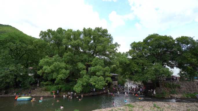 浙江农村大樟树清澈溪水夏天玩水孩子童年