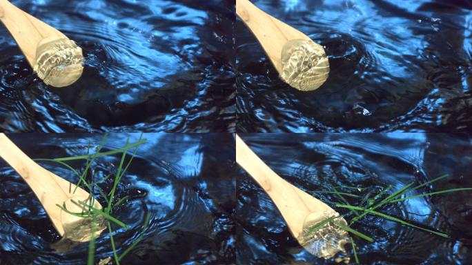 桨与草在水中缓慢移动