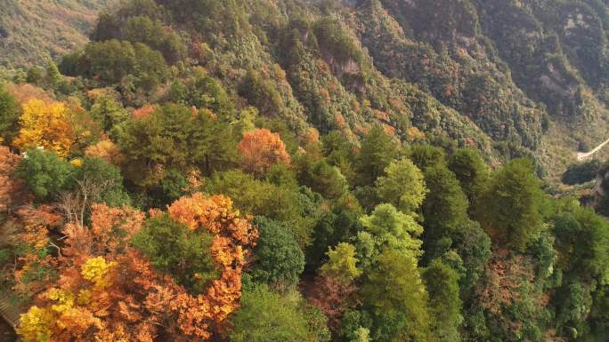 四川南江光雾山米仓山彩林航拍