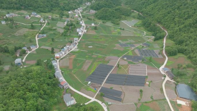 山中中药材基地农业绿化延时