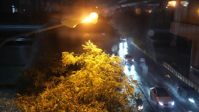 雨夜路灯下行驶的车流