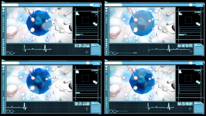 医学数字界面显示蓝色的卵子正在被精子受精，蓝色和黑色的背景