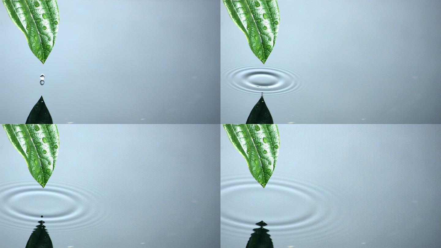水珠从叶子上滑落掉进水里特写