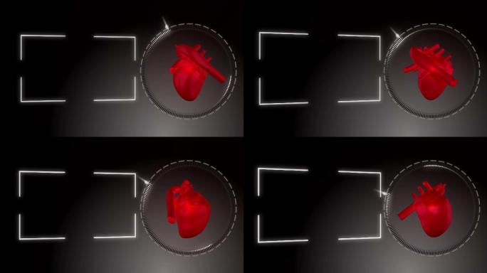 一颗心脏在黑色背景下的空白画面旁跳动的动画