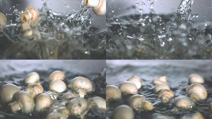 掉入水中的蘑菇特写