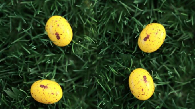 黄色的复活节彩蛋在草地上特写