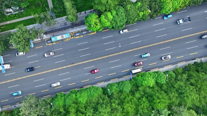 【正版素材】城市交通道路0148