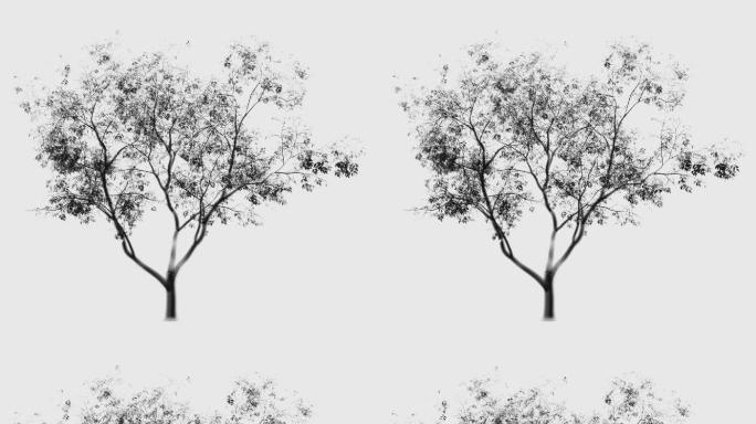 动态水墨树a