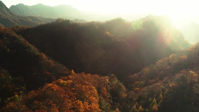 四川南江光雾山米仓山彩林航拍