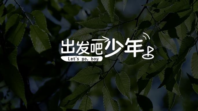 综艺字幕 花字（带字体）