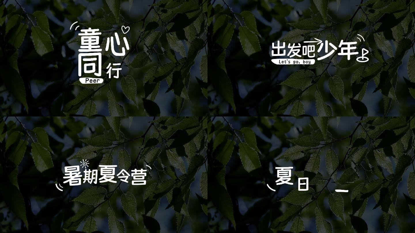 综艺字幕 花字（带字体）