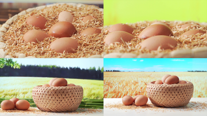 自然背景下的新鲜鸡蛋