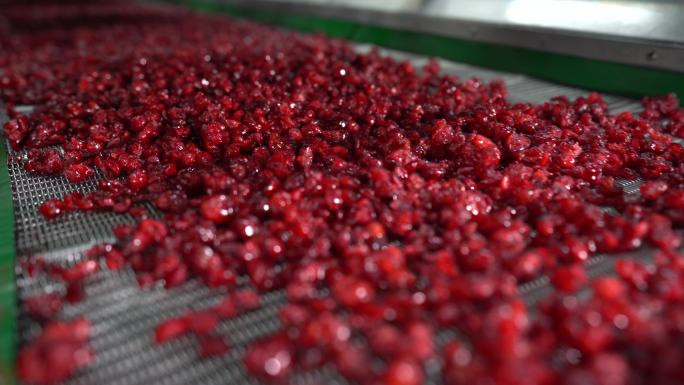零食美食蔓越莓生产流水线车间实拍原素材
