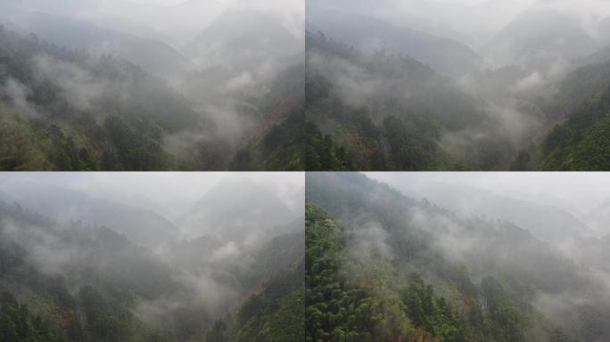 雾气 山脉