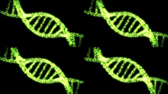 闪烁着绿色的DNA螺旋出现和消失