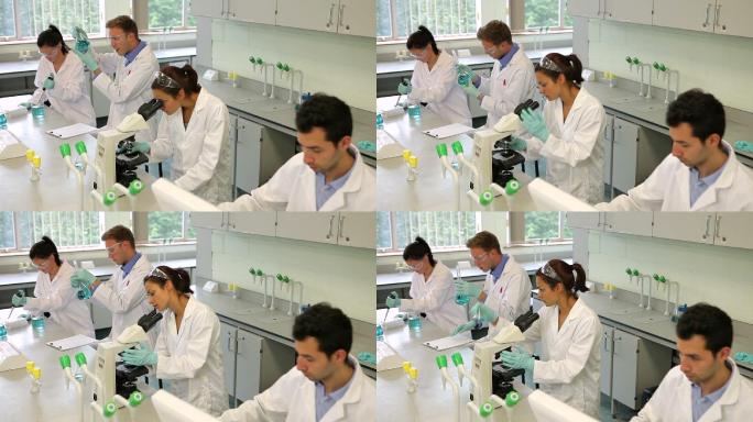 一组专注于科学的学生在大学的实验室一起工作