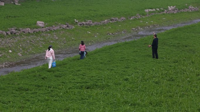 游客孩子户外草地草坪上放风筝实拍原素材